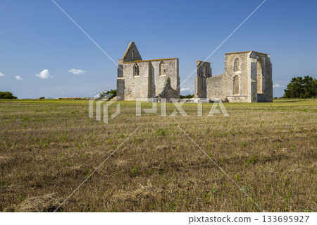 Old abbey ruins standing in dry field under blue sky Old abbey ruins standing in dry field under blue sky 133695927