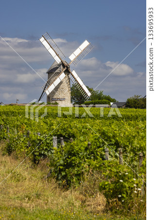 Windmill in Loire Valley vineyard, France Windmill in Loire Valley vineyard, France 133695933