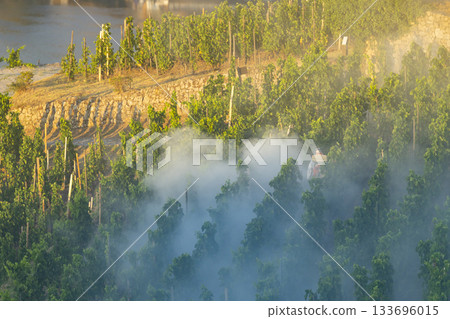 Person spraying grapevines protecting Crozes Hermitage vineyard Person spraying grapevines protecting Crozes Hermitage vineyard 133696015