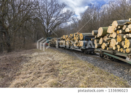 Logging train transporting wood logs through Pordefolde forest 133696023