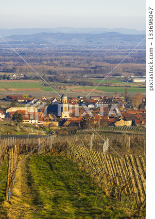 Saint Hippolyte village and vineyard in Alsatian Grand Est 133696047