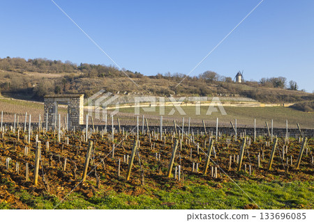 Vineyards with stone archway and windmill in Santenay Vineyards with stone archway and windmill in Santenay 133696085