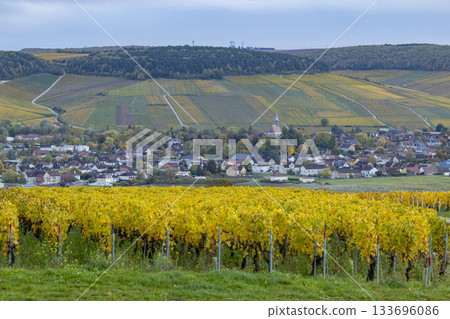 Champagne vineyards and rural village in autumn Champagne vineyards and rural village in autumn 133696086