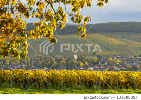 Chablis vineyard landscape with village and church in autumn 133696087