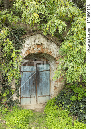 Traditional cellar door surrounded by green foliage in Retzbach 133696108