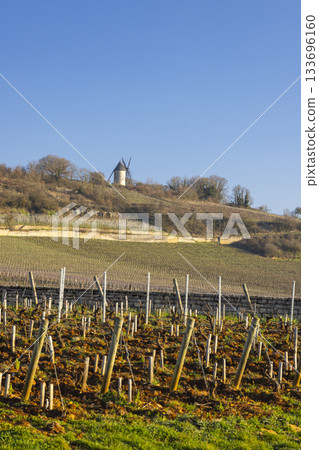 Vineyard landscape with historic Moulin Sorine in Santenay, France 133696160