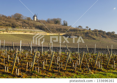 Santenay vineyards with Moulin Sorine in Bourgogne Franche Comte 133696161