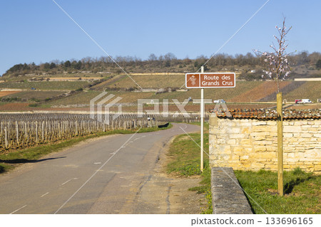 Route des Grands Crus panneau and vineyards in Puligny Montrachet, France 133696165