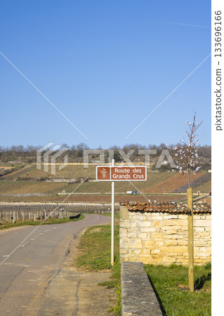 Route des Grands Crus sign in Puligny Montrachet vineyard Route des Grands Crus sign in Puligny Montrachet vineyard 133696166