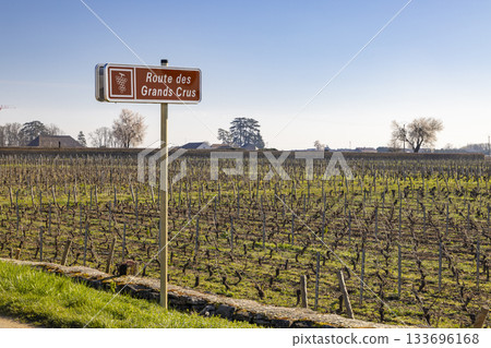 Route des Grands Crus sign in Meursault vineyards 133696168