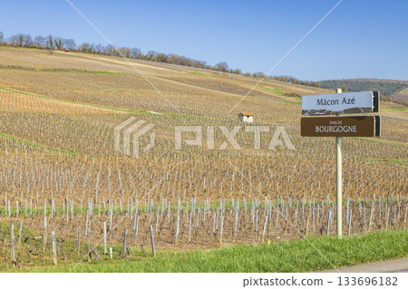Vineyard landscape with Macon Aze and Bourgogne wine signpost 133696182