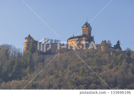 Chateau du Haut Koenigsbourg standing tall on a forested hill 133696196