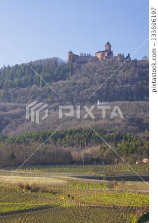 Haut Koenigsbourg Castle overlooking vineyards in Grand Est 133696197