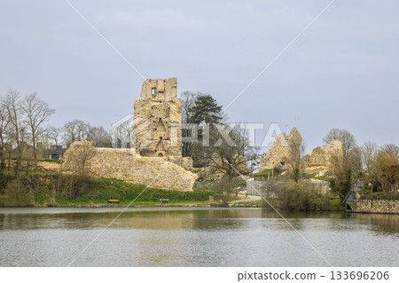 REMAINS of the castle of Saint Aubin du Cormier by the pond 133696206