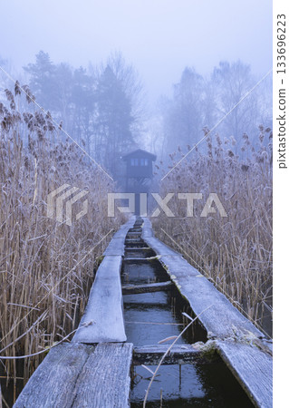 Frozen wooden walkway leading to bird hide in foggy landscape Frozen wooden walkway leading to bird hide in foggy landscape 133696223