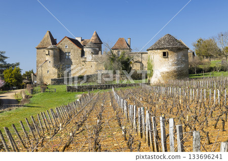 Chateau de Bissy sur Fley with bare vineyard in spring Chateau de Bissy sur Fley with bare vineyard in spring 133696241