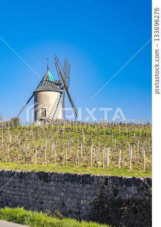 Romaneche Thorins windmill overlooking Beaujolais vineyard in spring 133696276
