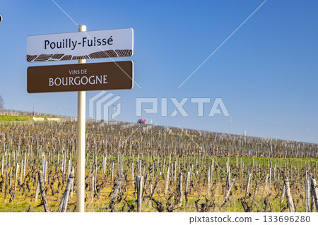 Pouilly Fuisse Vins de Bourgogne sign marking vineyard Pouilly Fuisse Vins de Bourgogne sign marking vineyard 133696280