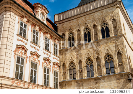 Gothic Baroque Contrast 133696284