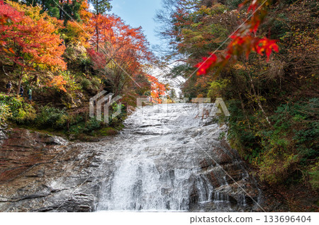 養老谷粟又瀑布的秋葉 133696404