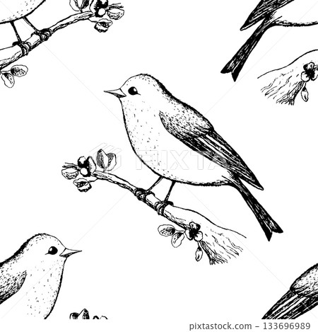 Seamless pattern with funny birds, flowers, leaves. Flat vector illustration with cartoon bird silhouette. Cute characters. Design for invitation, poster, card, textile, fabric Seamless pattern with funny birds, flowers, leaves. Flat vector illustration with cartoon bird silhouette. Cute characters. Design for invitation, poster, card, textile, fabric 133696989
