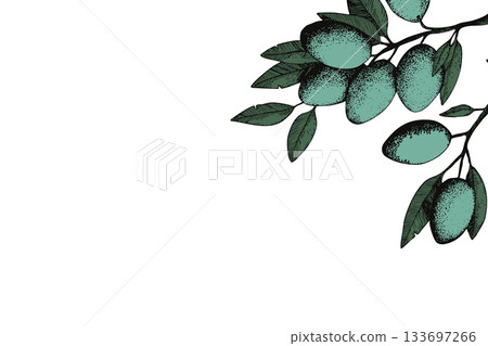Botanic background with olive branch sketch. Ink hand drawn olives set. Botanic plant vector illustration. A sprig of an olive tree with leaves. Food concept. Wallpaper with greenery olive tree 133697266
