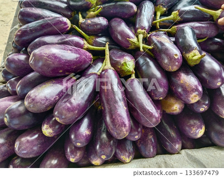 pile of eggplants (small brinjal) stacked in a Cart at greengrocer's shop with selective focus 133697479