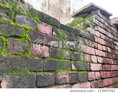 close up Brick wall covered with green moss. Old brick wall is wet and covered with thick moss. close up Brick wall covered with green moss. Old brick wall is wet and covered with thick moss. 133697481