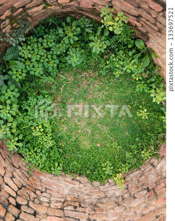 Top view of deep old brick dry water-well with green grass plant 133697521