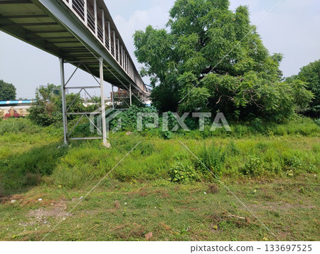Sky bridge or pedestrian bridge connecting platforms train station Sky bridge or pedestrian bridge connecting platforms train station 133697525