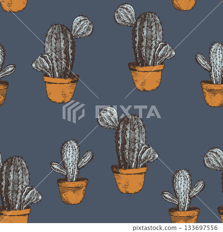 Seamless pattern with cacti, blooming succulent on color background. Vector hand drawn illustration for packaging, fabric, textile. Wild west cactus, western concept 133697556