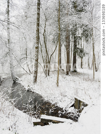 it is snowing heavily in the park, large flakes of snow are slowly falling on tree branches, no people, nobody it is snowing heavily in the park, large flakes of snow are slowly falling on tree branches, no people, nobody 133698189