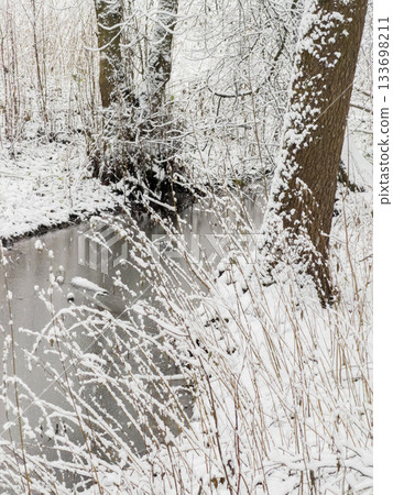it is snowing heavily in the park, large flakes of snow are slowly falling on tree branches, no people, nobody 133698211
