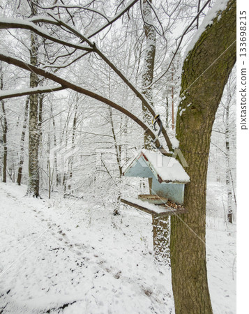 birdhouse feeder on tree branches, it is snowing heavily in the park, large flakes of snow are slowly falling on tree branches 133698215