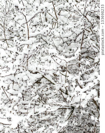 it is snowing heavily in the park, large flakes of snow are slowly falling on tree branches, people are walking dogs, elderly people are doing Nordic walking with sticks 133698233