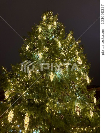 Lit up Christmas tree Lit up Christmas tree 133698337