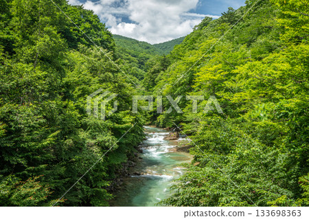 The Shirasagi River flows through the Manzawa Forest Road in Nakanojo Town, and the valley scenery is enveloped in deep summer greenery. The Shirasagi River flows through the Manzawa Forest Road in Nakanojo Town, and the valley scenery is enveloped in deep summer greenery. 133698363