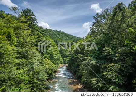 夏季,白鷺川蜿蜒流經中之條町的萬澤森林公路,兩旁是鬱鬱蔥蔥的山谷景色。 夏季,白鷺川蜿蜒流經中之條町的萬澤森林公路,兩旁是鬱鬱蔥蔥的山谷景色。 133698369