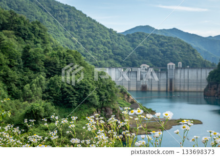 The wildflowers and deep green scenery of Lake Okushima and the Shima River Dam in summer The wildflowers and deep green scenery of Lake Okushima and the Shima River Dam in summer 133698373