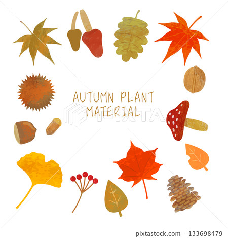 Autumn plant illustration set 133698479