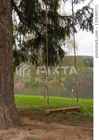 Wooden tree swing hanging over grass by the lake in Nova Zivohost, Czech Republic on spring day Wooden tree swing hanging over grass by the lake in Nova Zivohost, Czech Republic on spring day 133698511