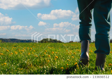 Woman walking through blooming dandelion meadow in spring, Czech Republic 133698512