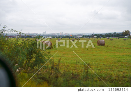 Round hay bales on green field with city skyline and road traffic in background under cloudy sky. 133698514