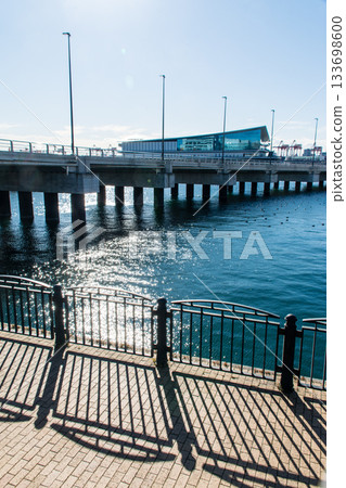 陽光明媚下，東京台場公園內橫跨台場港的道路和支撐橋樑清晰可見。 133698600