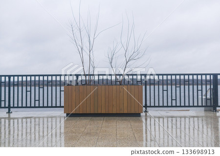 Bare trees in a pot on the embankment of the river 133698913