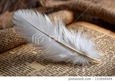 White feather resting on old book pages 133698944