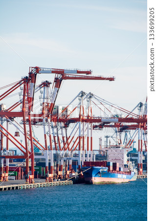 從台場隔東京灣眺望東京的大型起重機 133699205