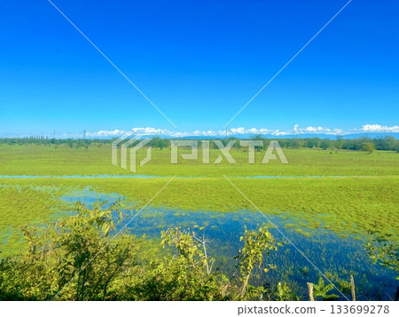 濕地在陽光明媚的秋天天氣 濕地在陽光明媚的秋天天氣 133699278