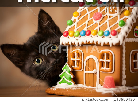 A cute black kitten peeking from behind a festive gingerbread house. Adorable domestic cat celebrating the Christmas holidays with sweet treats A cute black kitten peeking from behind a festive gingerbread house. Adorable domestic cat celebrating the Christmas holidays with sweet treats 133699459