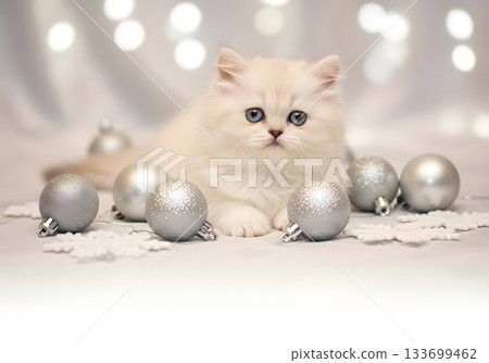 A cute fluffy white kitten with blue eyes lying among silver christmas ornaments. Festive holiday pet concept with bokeh background A cute fluffy white kitten with blue eyes lying among silver christmas ornaments. Festive holiday pet concept with bokeh background 133699462